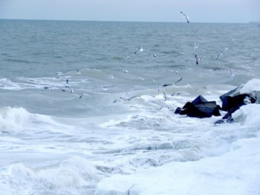 Temperaturi de primăvară, la Constanţa